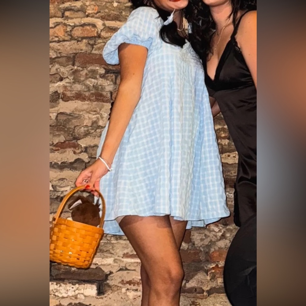 Blue checkered dress